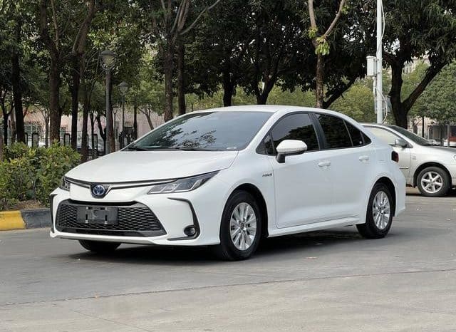 67b8a0078e4df Toyota Corolla (XII), 2024