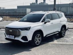 67b8a228c2fc2 Geely Okavango (II), 2024