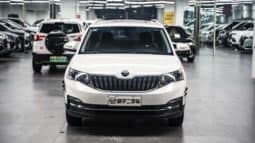 
										Skoda Kamiq, 2020 full									