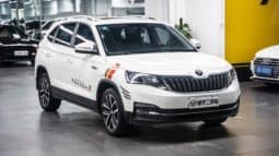 
										Skoda Kamiq, 2020 full									