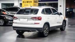 
										Skoda Kamiq, 2020 full									