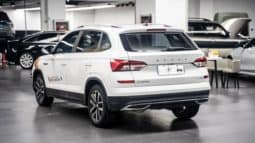 
										Skoda Kamiq, 2020 full									