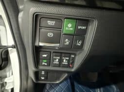 
										Honda Elysion, 2023 full									