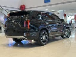 
										Hyundai Palisade, 2023 full									