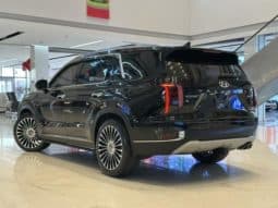 
										Hyundai Palisade, 2023 full									