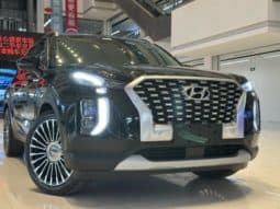 
										Hyundai Palisade, 2023 full									