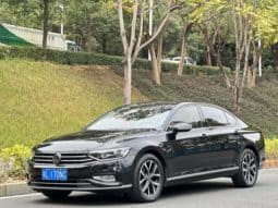 67bc88d846817 Volkswagen Magotan, 2021