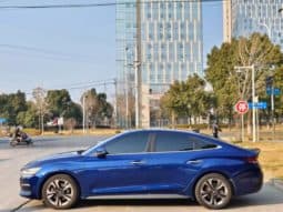 
										Hyundai Lafesta, 2020 full									