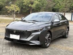 67c0147fcc111 Changan Raeton PLUS, 2022