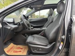 
										Changan Raeton PLUS, 2022 full									