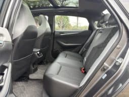 
										Changan Raeton PLUS, 2022 full									