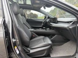 
										Changan Raeton PLUS, 2022 full									