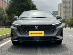 
										Changan Raeton PLUS, 2023 full									