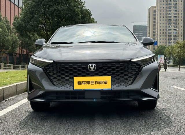 
								Changan Raeton PLUS, 2023 full									