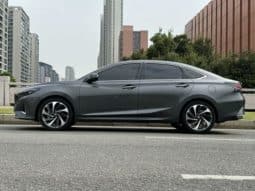 
										Changan Raeton PLUS, 2023 full									