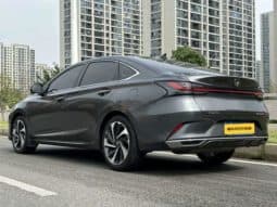 
										Changan Raeton PLUS, 2023 full									