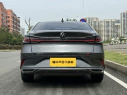 
										Changan Raeton PLUS, 2023 full									