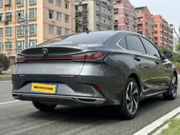 
										Changan Raeton PLUS, 2023 full									
