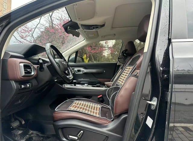 
								Geely Okavango (I), 2022 full									