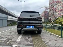 
										Geely Okavango (I), 2022 full									