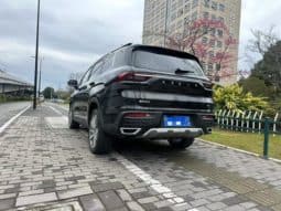 
										Geely Okavango (I), 2022 full									