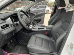 
										Geely Emgrand, 2021 full									