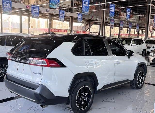 
								Toyota Wildlander, 2020 full									
