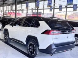 
										Toyota Wildlander, 2020 full									