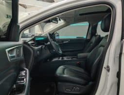 
										Ford Edge (II), 2021 full									