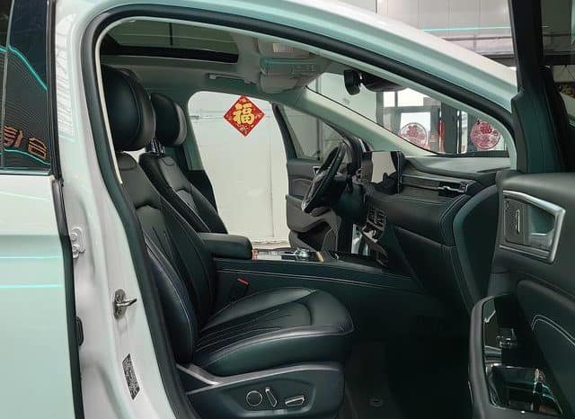 
								Ford Edge (II), 2021 full									