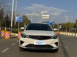 
										Geely Emgrand GS, 2020 full									