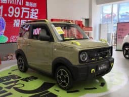 
										Geely Panda, 2025 full									