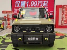 
										Geely Panda, 2025 full									