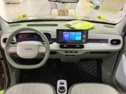 
										Geely Panda, 2025 full									