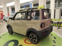 
										Geely Panda, 2025 full									