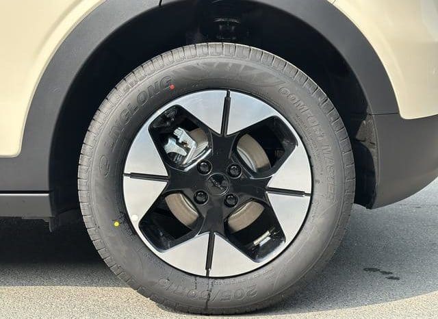 
								Geely Star Wish, 2025 full									