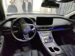 
										Hyundai Santa Fe (III), 2022 full									