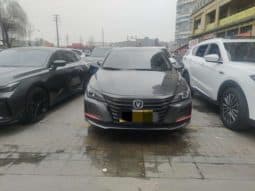 
										Changan Raeton CC, 2021 full									