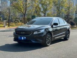 67c4364b84716 Geely Borui, 2021