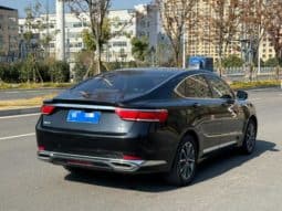 
										Geely Borui, 2021 full									