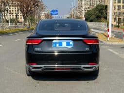 
										Geely Borui, 2021 full									