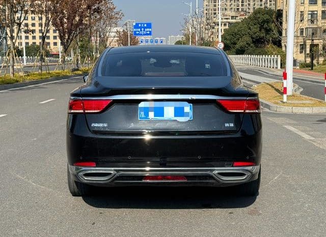 
								Geely Borui, 2021 full									