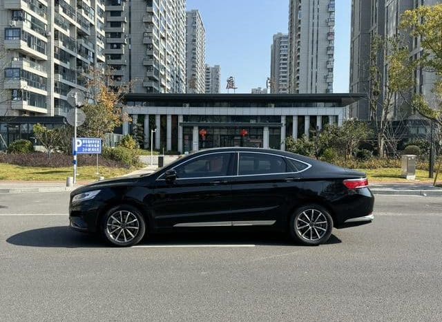 
								Geely Borui, 2021 full									