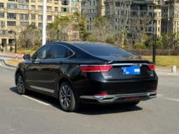 
										Geely Borui, 2021 full									
