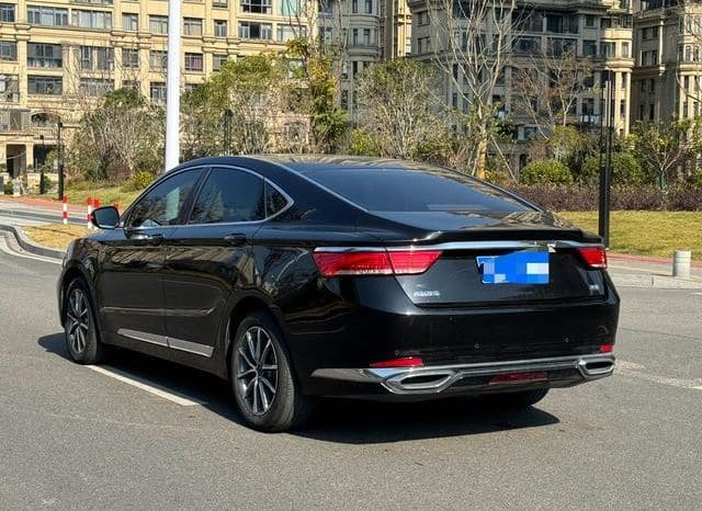
								Geely Borui, 2021 full									
