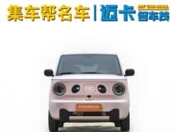 
										Geely Panda, 2023 full									
