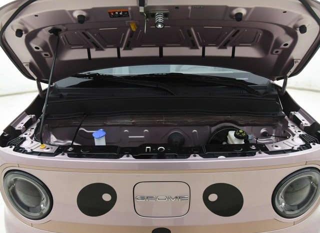 
								Geely Panda, 2023 full									