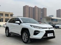 
										Toyota Wildlander, 2022 full									