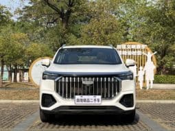 
										Geely Okavango (II), 2023 full									