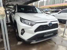 
										Toyota RAV4 (IV), 2020 full									